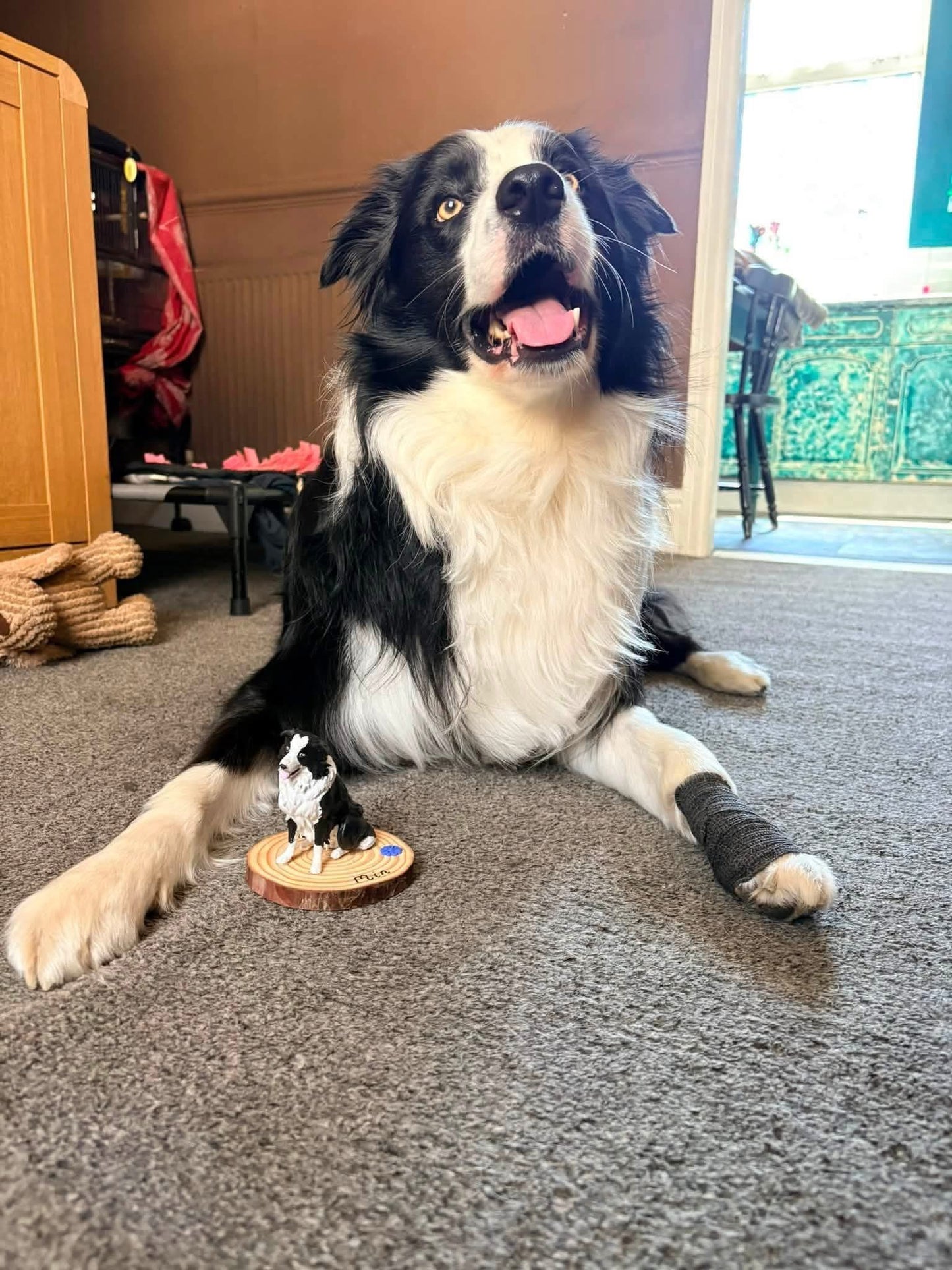 Custom made Pet Figurines