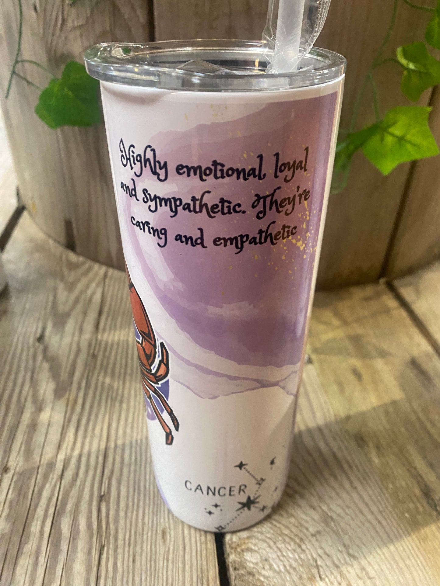 ⭐️Zodiac Star Signs Tumblers⭐️