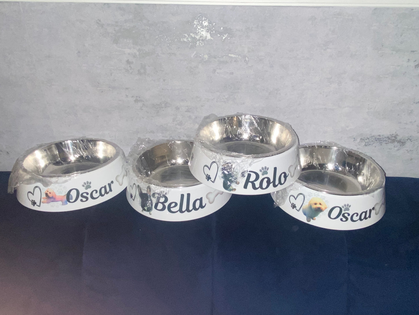 Pet  Bowl