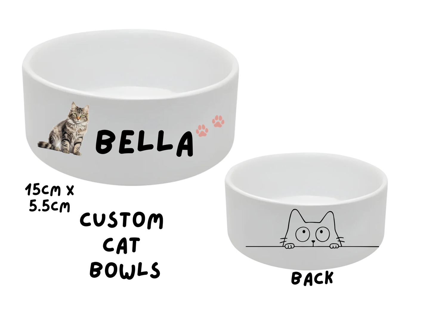 Pet  Bowl