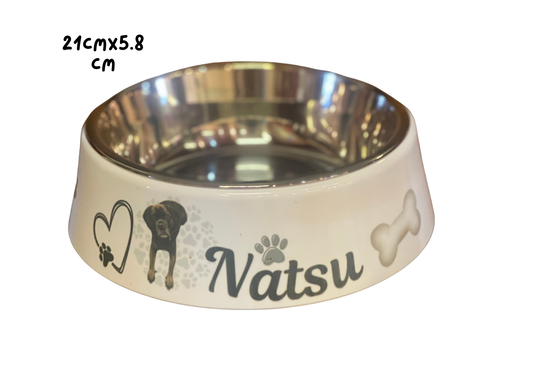 Pet  Bowl